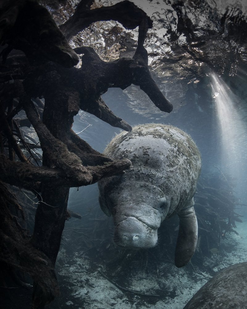 "Shelter" - photograph on fine art paper - 25" x 20"