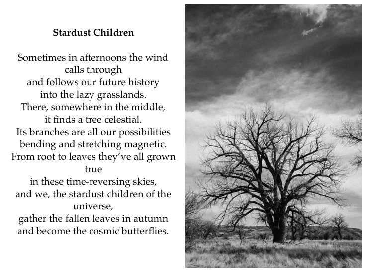 Cynthia chace gray