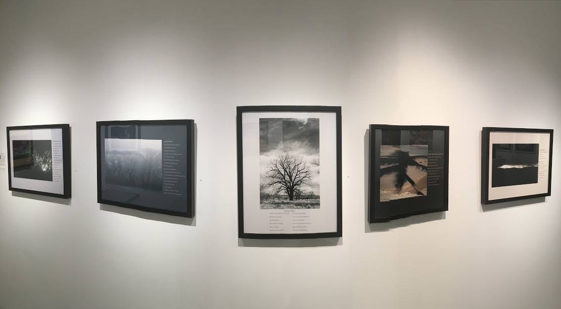 Cynthia chace Gray
