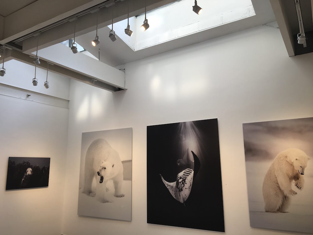lighting art