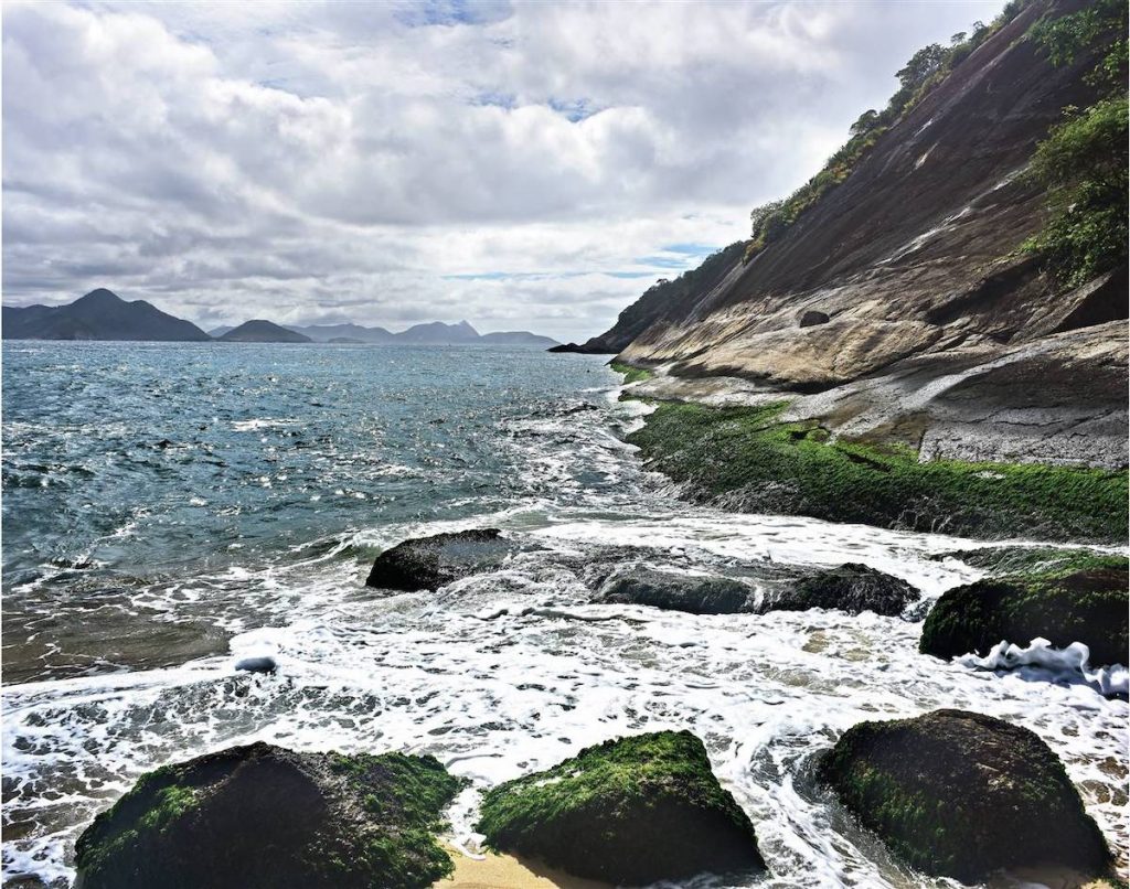 Andrea Braunfeld, Rio