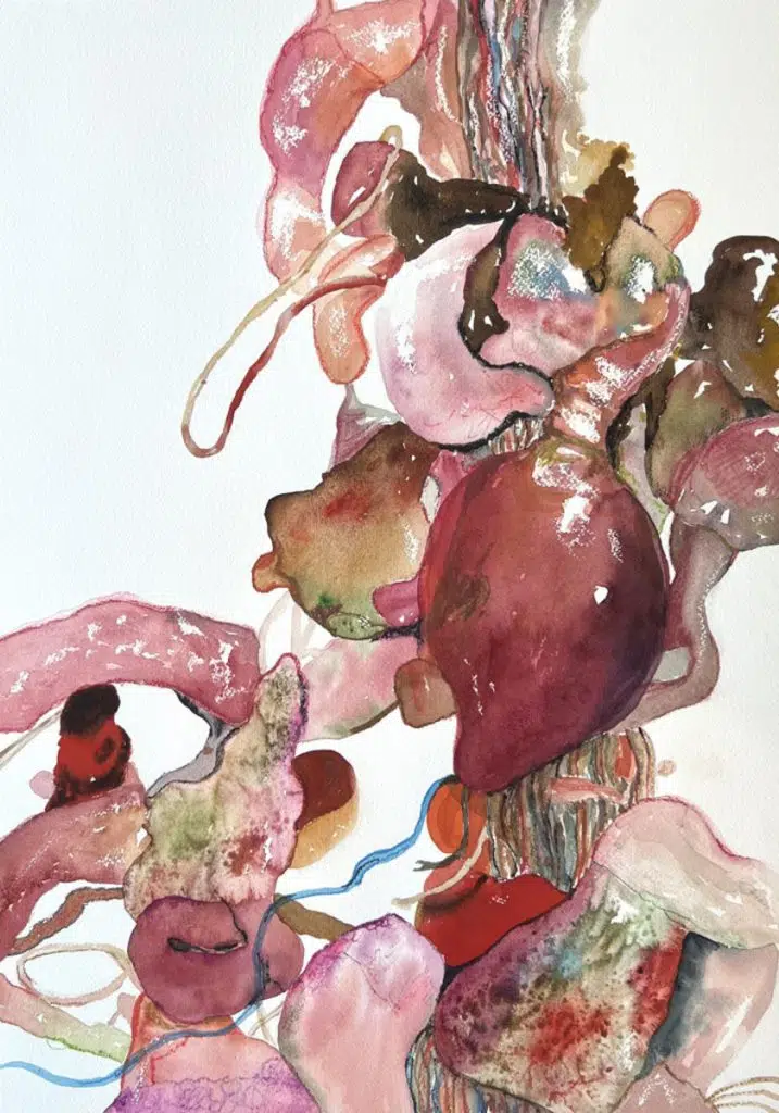 Meredith Knox Barineau
